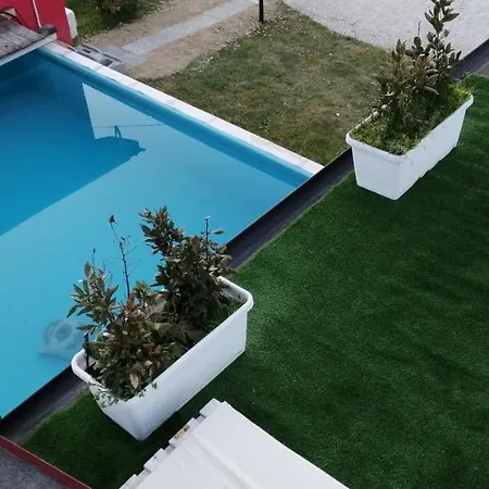 Belvedere Bed & Breakfast *